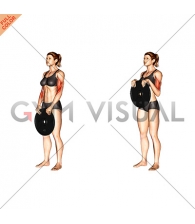 Weighted Standing Curl (female)