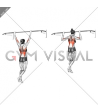 Wide Grip Rear Pull Up (female)