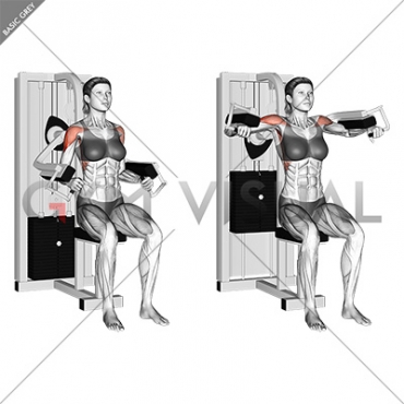 Lever Lateral Raise (female)