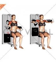 Lever Lateral Raise (female)