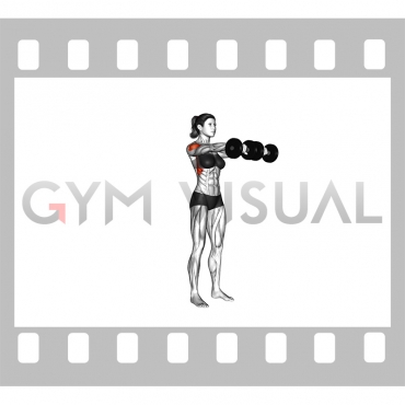 Dumbbell Front Raise (female)