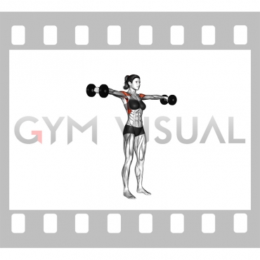 Dumbbell Standing Lateral Raise (female)