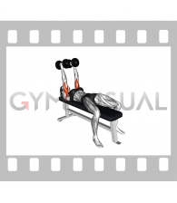 Dumbbell Lying Triceps Extension (female)