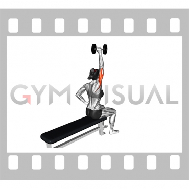 Dumbbell One Arm Triceps Extension (on bench) (female)