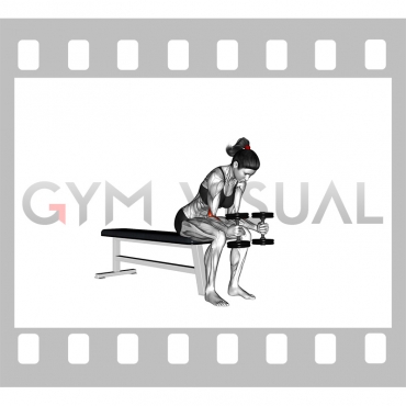 Dumbbell Seated Neutral Wrist Curl (female)