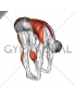 Standing Hamstrings and Back Stretch