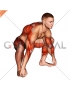 Sitting Sumo Mobility Stretch