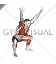 Sitting Sumo with Arms-Up Mobility Stretch