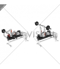 EZ-Barbell Lying Triceps Extension (female)