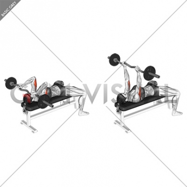 EZ-Barbell Lying Triceps Extension (female)