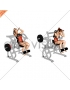 Lever Seated Leg Raise Crunch (plate loaded) (female)