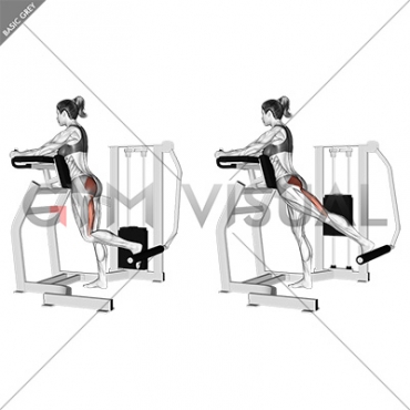 Lever Standing Hip Extension (female)