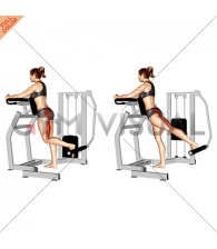 Lever Standing Hip Extension (female)