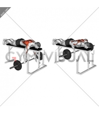 Barbell Lying Row on Rack