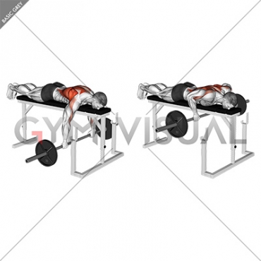 Barbell Lying Row on Rack