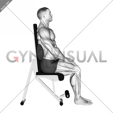 Static Position Seated Back with Pad (male)