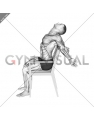 Static Position Seated Back (male)