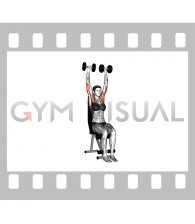 Dumbbell Seated Shoulder Press (female)