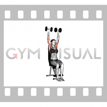 Dumbbell Seated Shoulder Press (female)