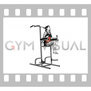 Vertical Leg Raise (on parallel bars) (female) (VERSION 2)