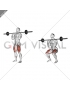 Barbell Front Chest Squat