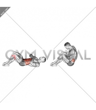 Sit-up with Arms on Chest