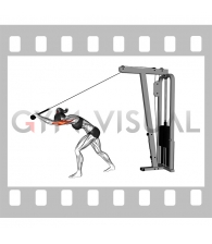 Cable High Pulley Overhead Tricep Extension (female)