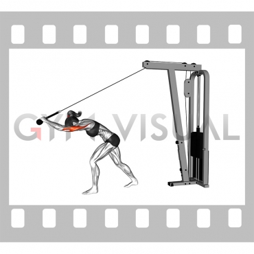 Cable High Pulley Overhead Tricep Extension (female)