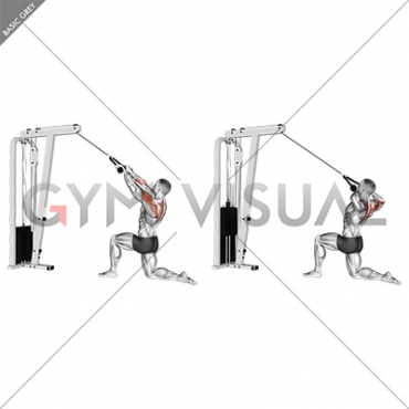 Cable Kneeling Rear Delt Row (with rope) (male)