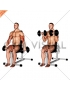 Dumbbell Seated Reverse Grip Biceps Curl