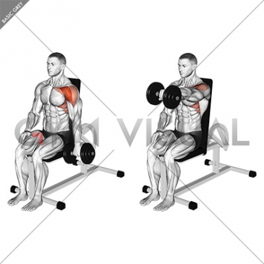 Dumbbell Seated One Arm Front Raise