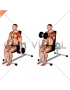 Dumbbell Seated One Arm Front Raise