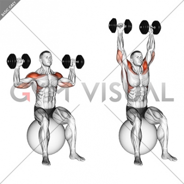 Dumbbell Seated on Exercise Ball Shoulder Press