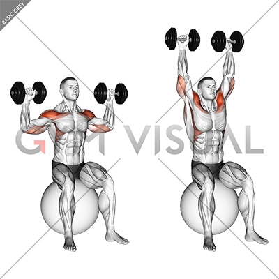 Dumbbell Seated on Exercise Ball Shoulder Press