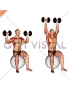 Dumbbell Seated on Exercise Ball Shoulder Press