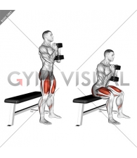 Dumbbell Goblet Box Squat