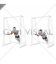 Reverse grip incline push up sale