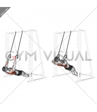 Inverted Row with Straps