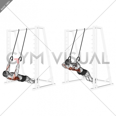 Inverted Row with Straps