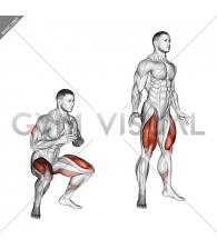Jump Squat
