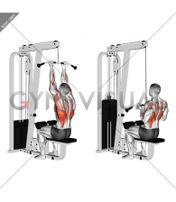 Cable Reverse-grip Straight Back Seated High Row