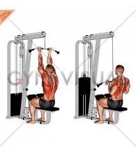 Cable Reverse-grip Straight Back Seated High Row