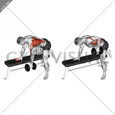 Dumbbell One Arm Bent-over Row