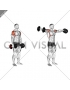 Dumbbell Lateral Raise