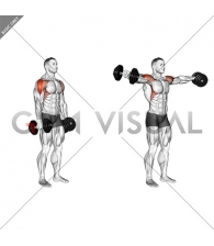 Dumbbell Lateral Raise