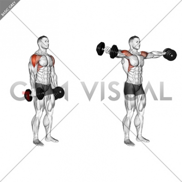 Dumbbell Lateral Raise