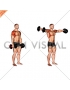 Dumbbell Lateral Raise