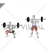 Barbell sumo squat