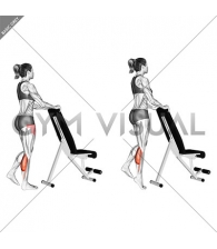 Standing Single Leg Calf Raise with Support (female)