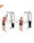 Cable Straight Arm Pulldown (with rope)